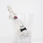 Promo Ice Bucket Rogante + Fiori di Sambuco